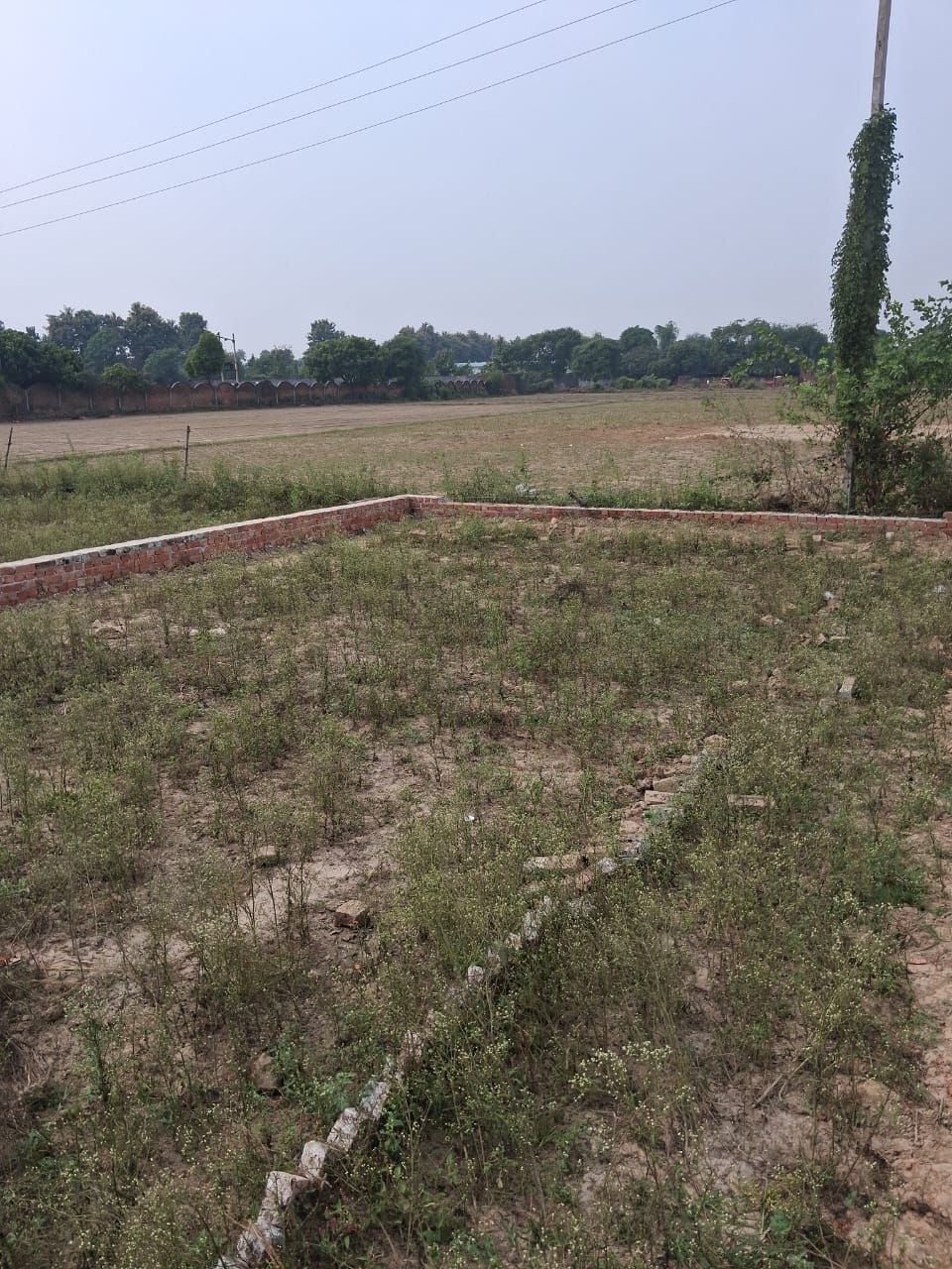 WhatsApp-Image-2025-12-02-at-16.20.19