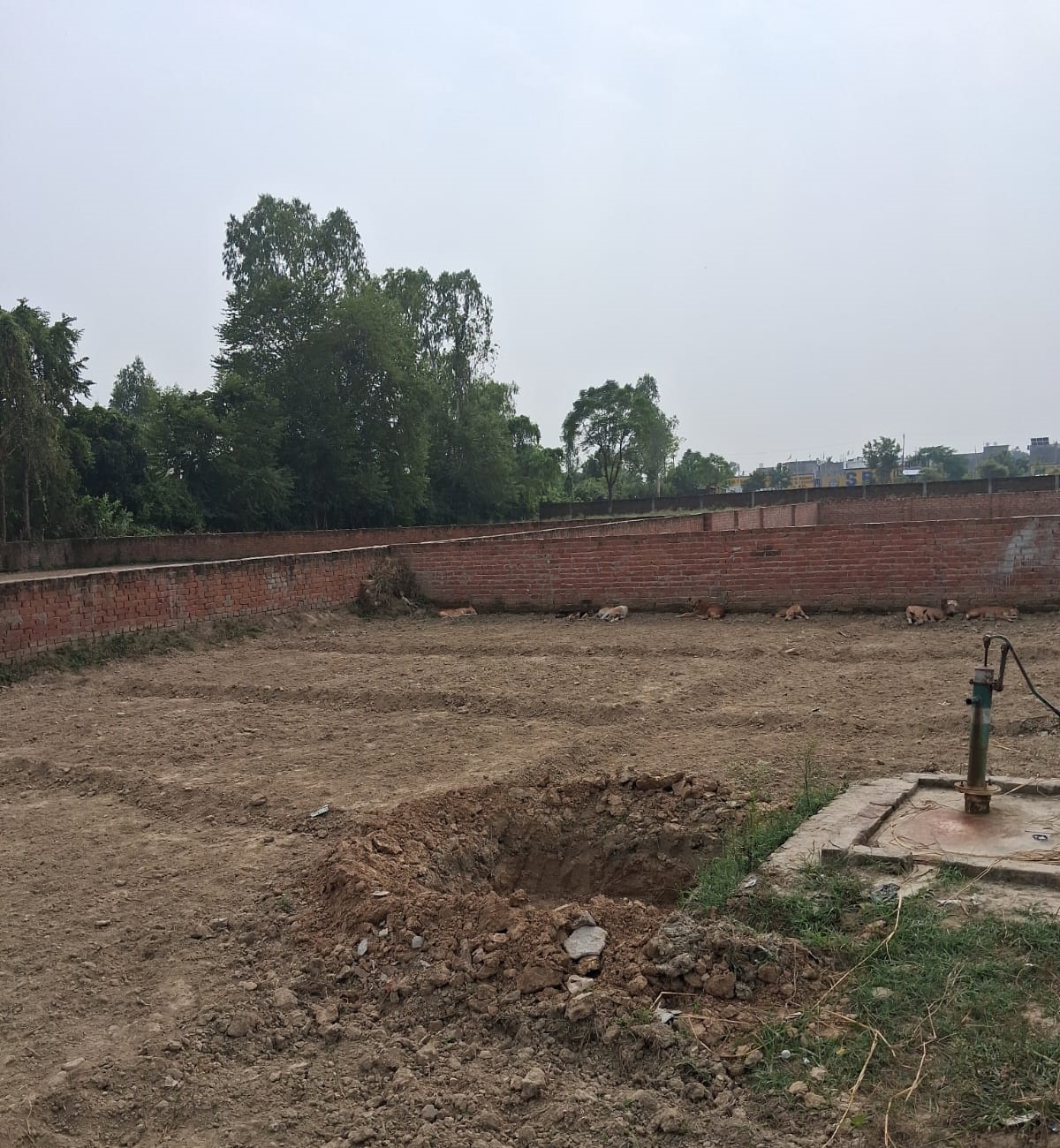 WhatsApp-Image-2025-12-02-at-16.20.20