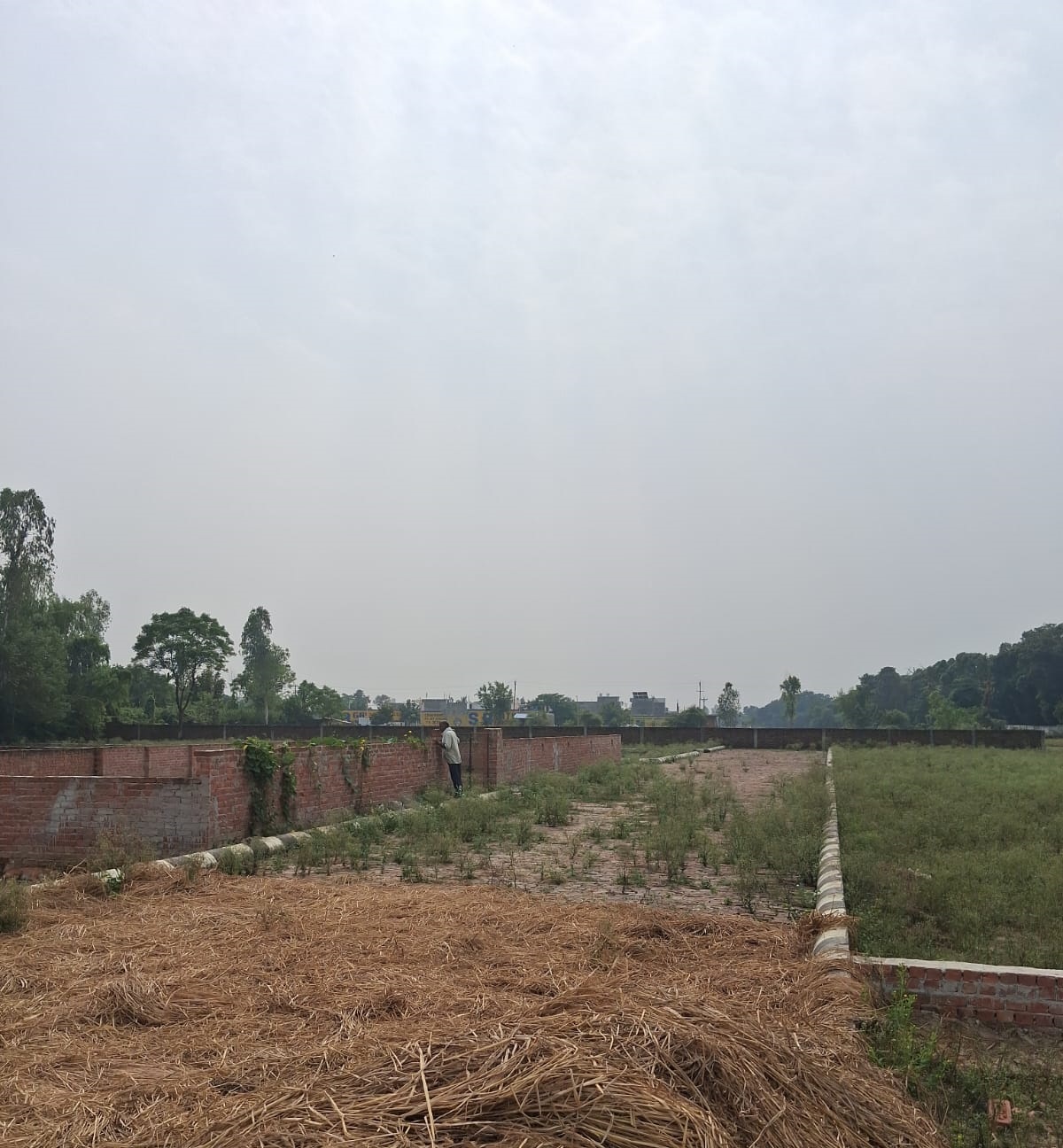 WhatsApp-Image-2025-12-02-at-16.20.21-1