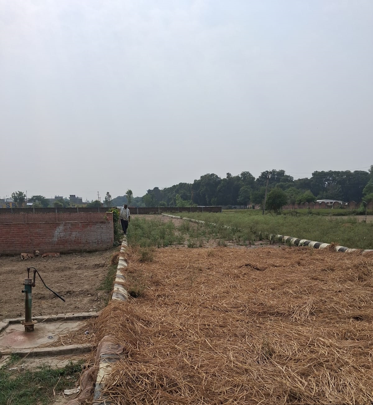 WhatsApp-Image-2025-12-02-at-16.20.21